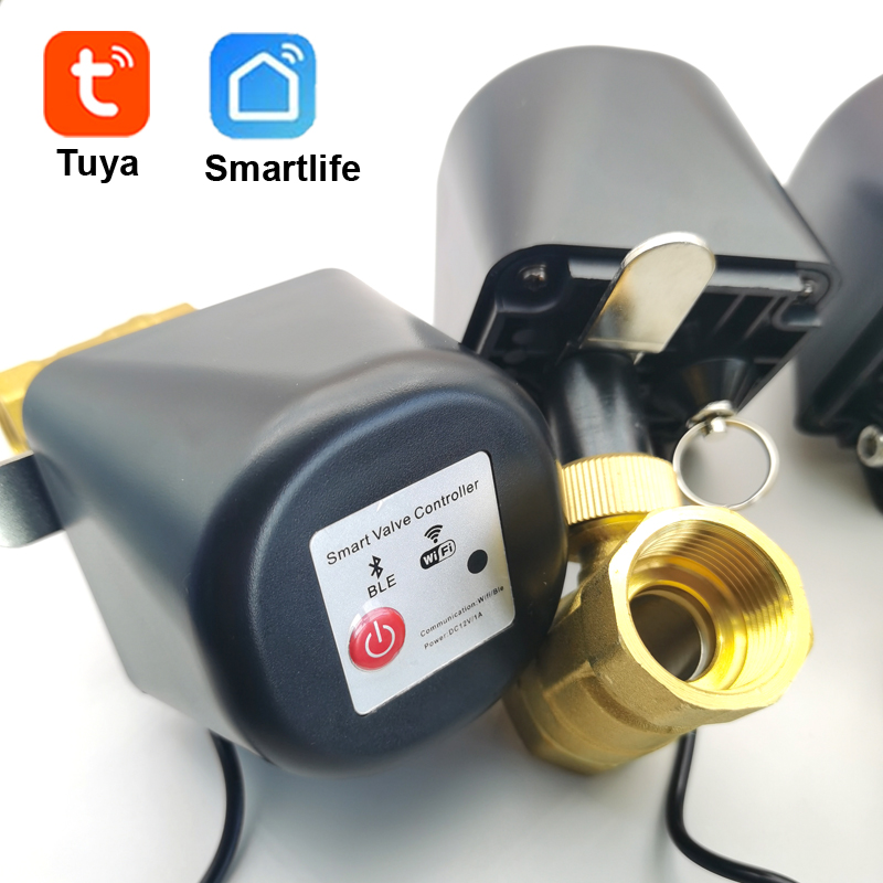 Tuya Zigbee Garden Irrigation Controller - Tuya Zigbee Smart Water Valve WIFI