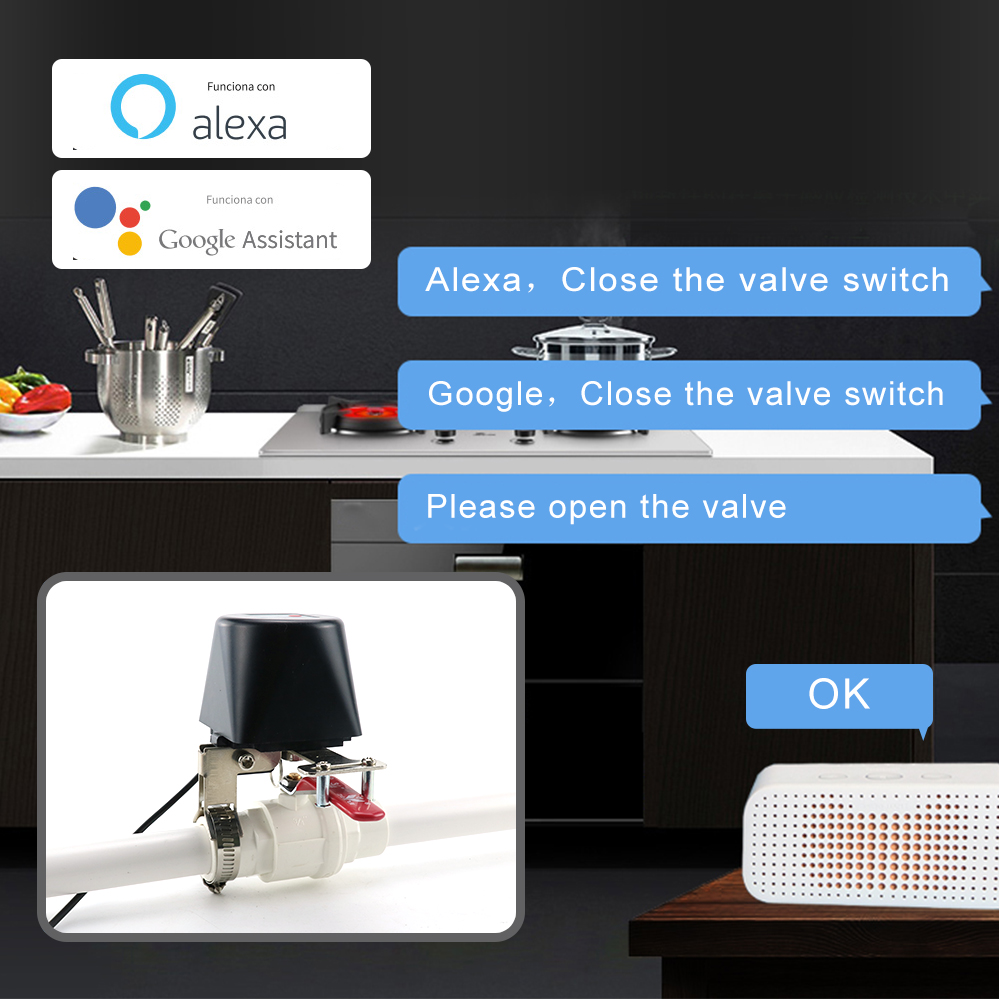 Zigbee Smart Gas Valve WIFI Ga - Tuya Zigbee Garden Irrigation Controller recension och pris