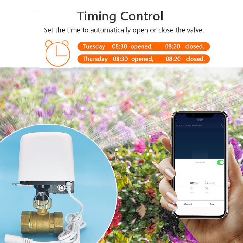Smart Tuya WiFi Zigbee Water V - Tuya Zigbee Garden Irrigation Controller recension och pris