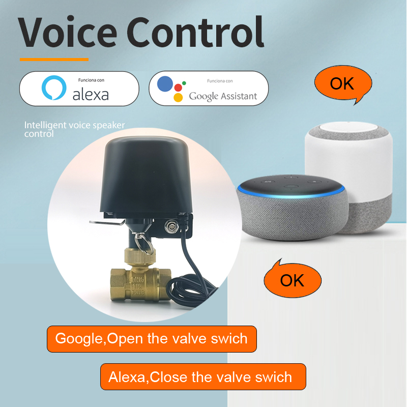 Tuya Zigbee Smart Water Valve  - Tuya Zigbee Garden Irrigation Controller recension och pris