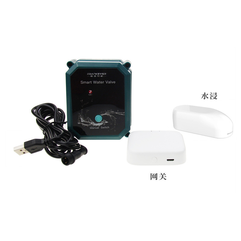Tuya WiFi Zigbee Smart Water V - Tuya Zigbee Garden Irrigation Controller recension och pris
